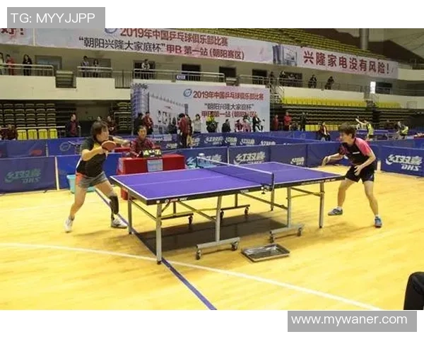 武汉乒乓球队在联赛中的强势表现与未来发展潜力分析